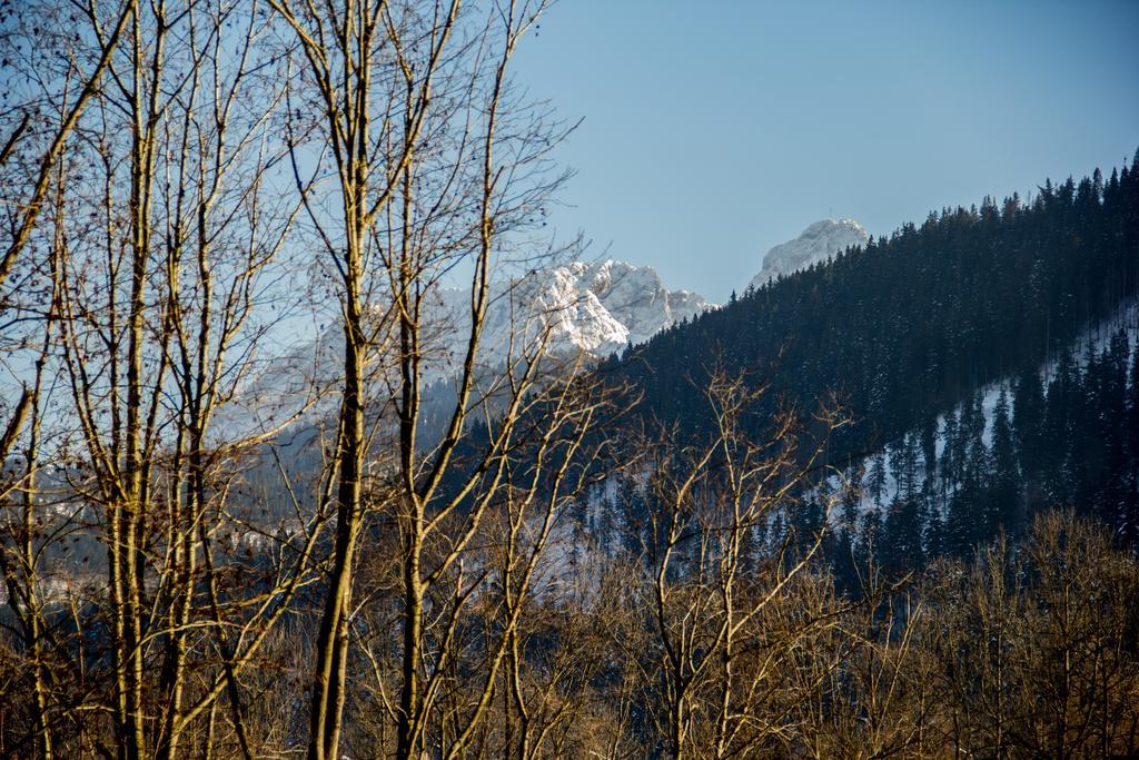 Dolina Resort Zakopane Кошелско Стая снимка